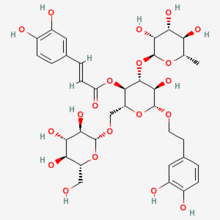 Echinacoside