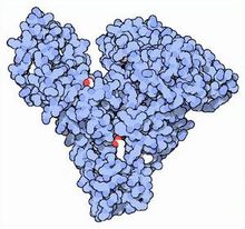 Minocycline