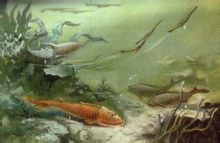 Devonian