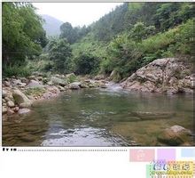 Nandu Sungai