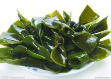 Kelp
