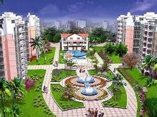 Dragon Garden