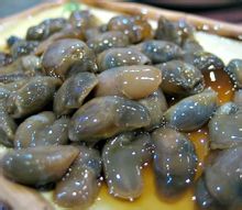 Bekicot kuning