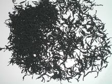 Sargassum