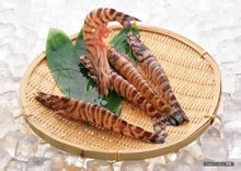 Udang Jepang
