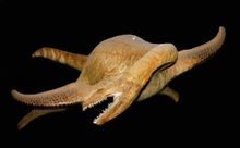 Ujung naga berleher