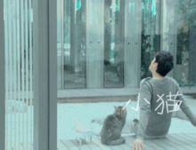 Kitten: Cai Guoqing bernyanyi