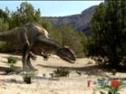 Dwarf Allosaurus