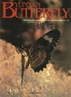 Yunnan kupu