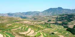 Xinglong Township: Provinsi Gansu barat dan kabupaten pedesaan booming