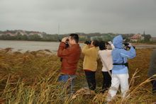 Qilihai