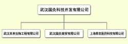 Moksibusi dari Wuhan Sains dan Technology Development Co, Ltd