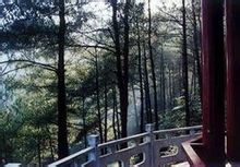 East Taishan National Forest Park
