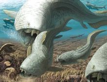 Crustacea