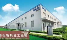 Shandong Sinder Technology Co, Ltd