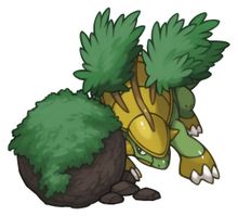 Kayu penyu