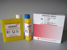 Prealbumin