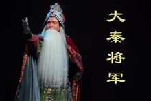Qin jenderal