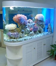 Aquarium: tangki ikan hidup diinstal