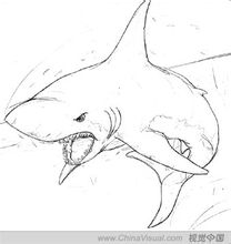 Sketsa